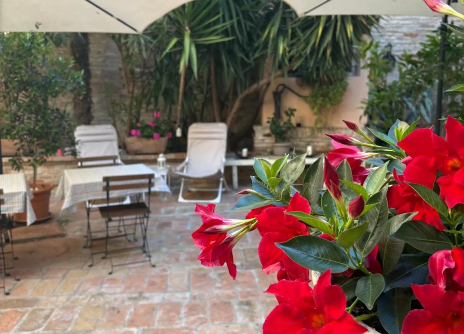 *** Alojamento de Acomodação e Pequeno-almoço Relais B&B Corte Dei Turchi Longiano Itália